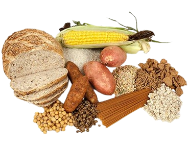 CEREALES ET FECULENTS